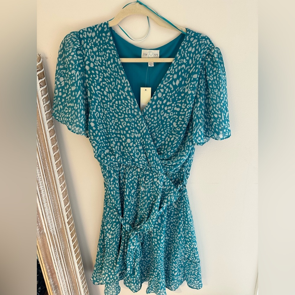 Francesca’s Dress